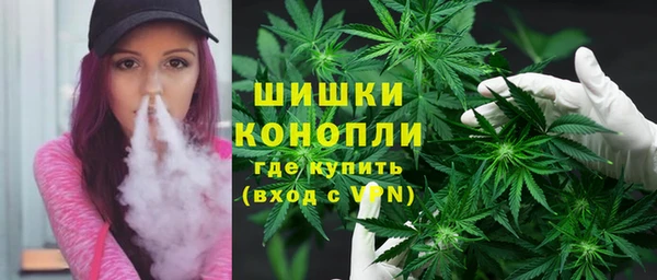 spice Арсеньев